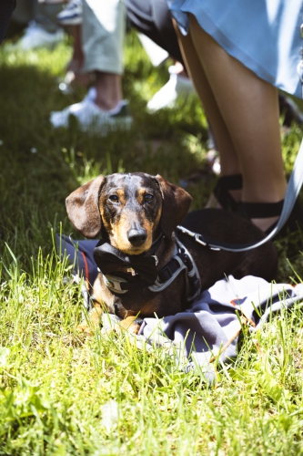 Christiane-und-Thomas-website-22